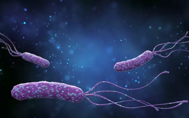 Clarithromycin for the Treatment of Campylobacter Infections