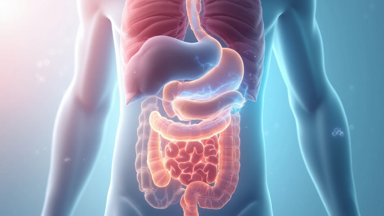 Drug Interactions and When to Talk to Your Doctor
